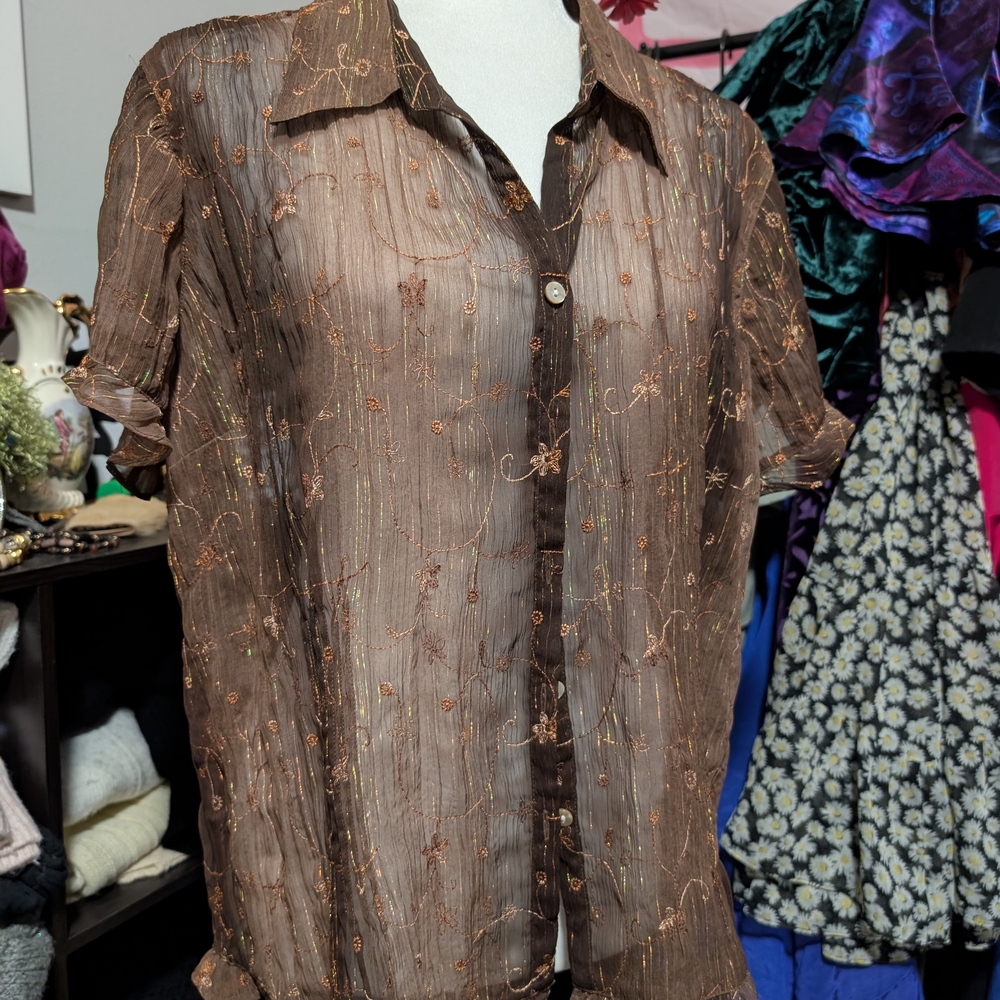 Sheer Brown Fairycore Button-Up